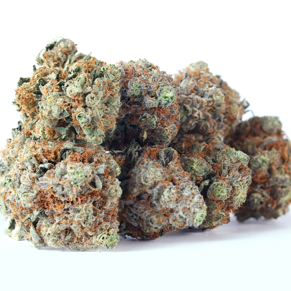 Julius Ceasar - 1000x1000 -14